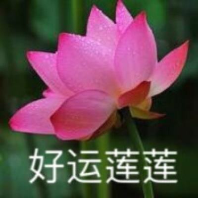 如何评价《艾尔登法环》的简体中文翻译水平？